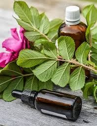 Essential Oils that Help with Back Pain