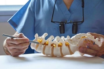 chiropractor-in-midtown-explains-spine-health